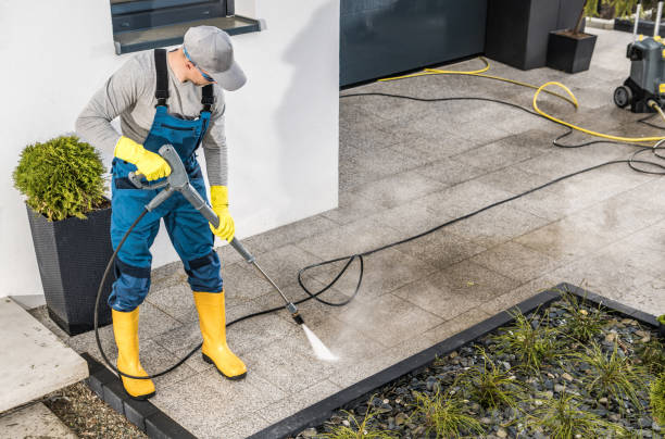 Best Pressure Washing Company Near Me  in Lake Los Angeles, CA